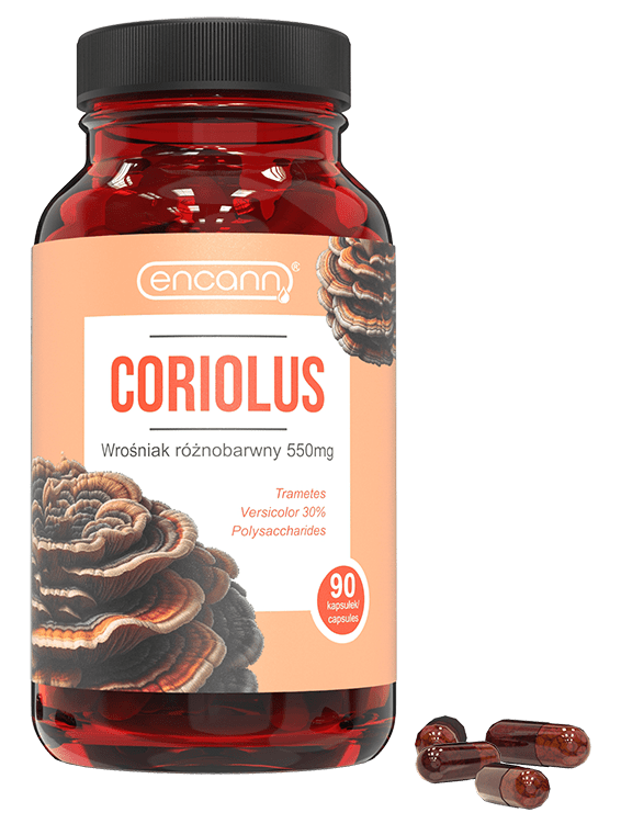 kapsulki coriolus